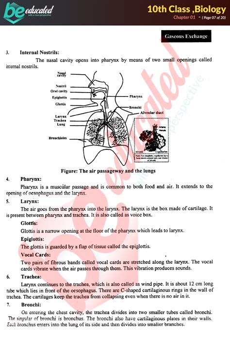 adamjee notes class 10 biology.